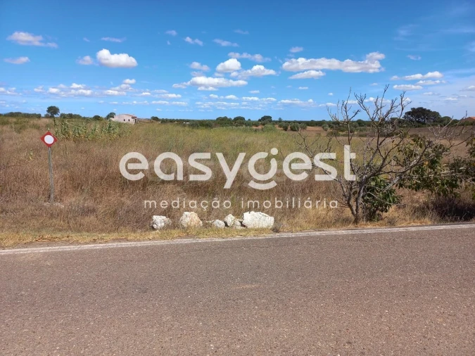 Terreno para Venda em Almoster Foto 2