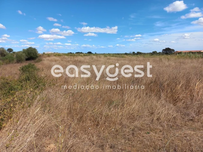 Terreno para Venda em Almoster Foto 3