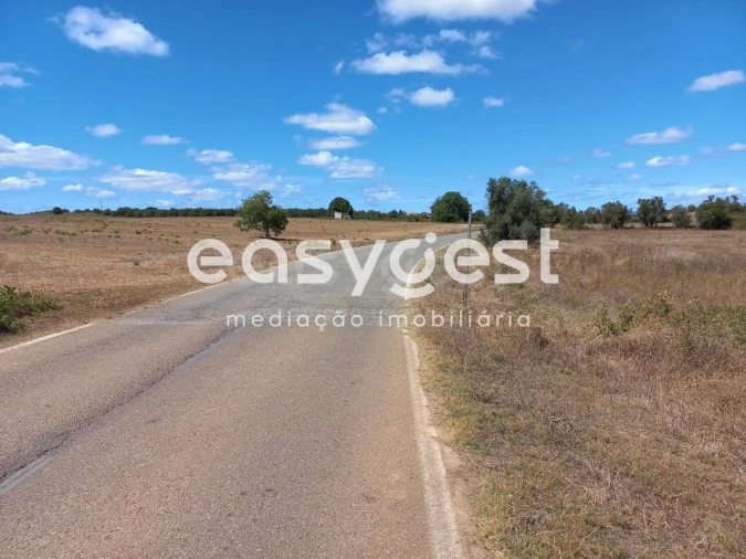 Terreno para Venda em Almoster Foto 4