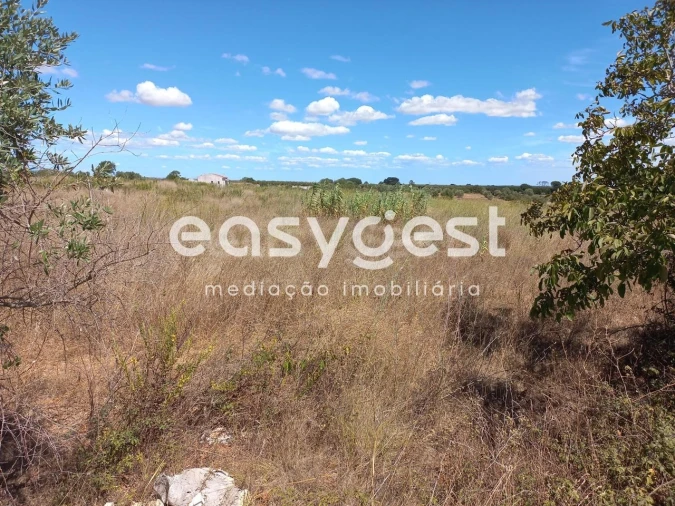 Terreno para Venda em Almoster Foto 5