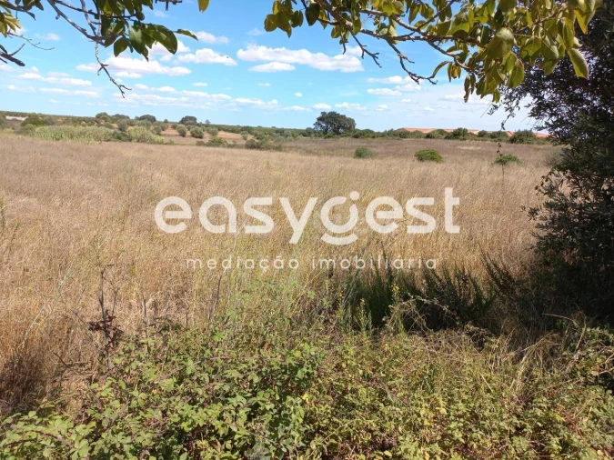 Terreno para Venda em Almoster Foto 6