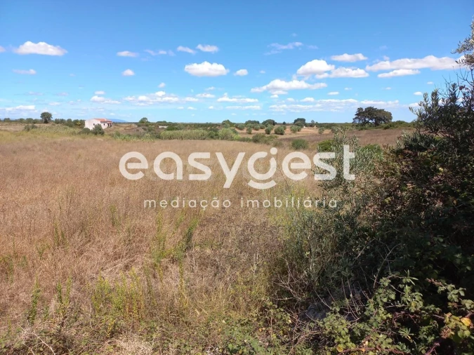 Terreno para Venda em Almoster Foto 10