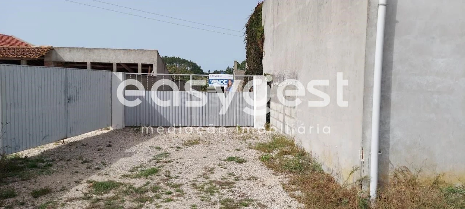 Terreno para Venda em Amor Foto 5