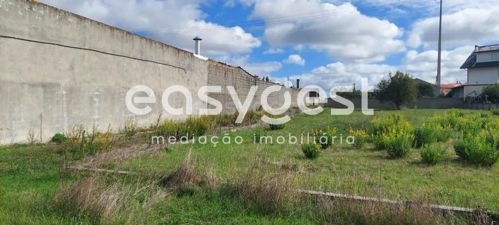 Terreno para Venda em Amor Foto 6