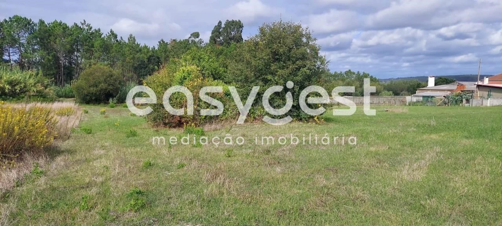 Terreno para Venda em Amor Foto 8