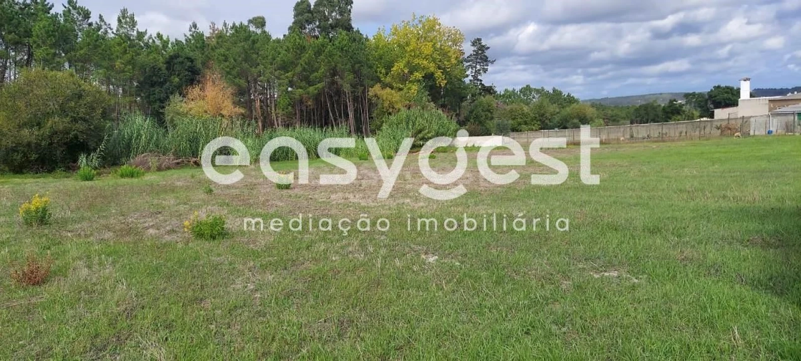 Terreno para Venda em Amor Foto 11