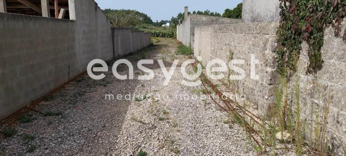 Terreno para Venda em Amor Foto 3