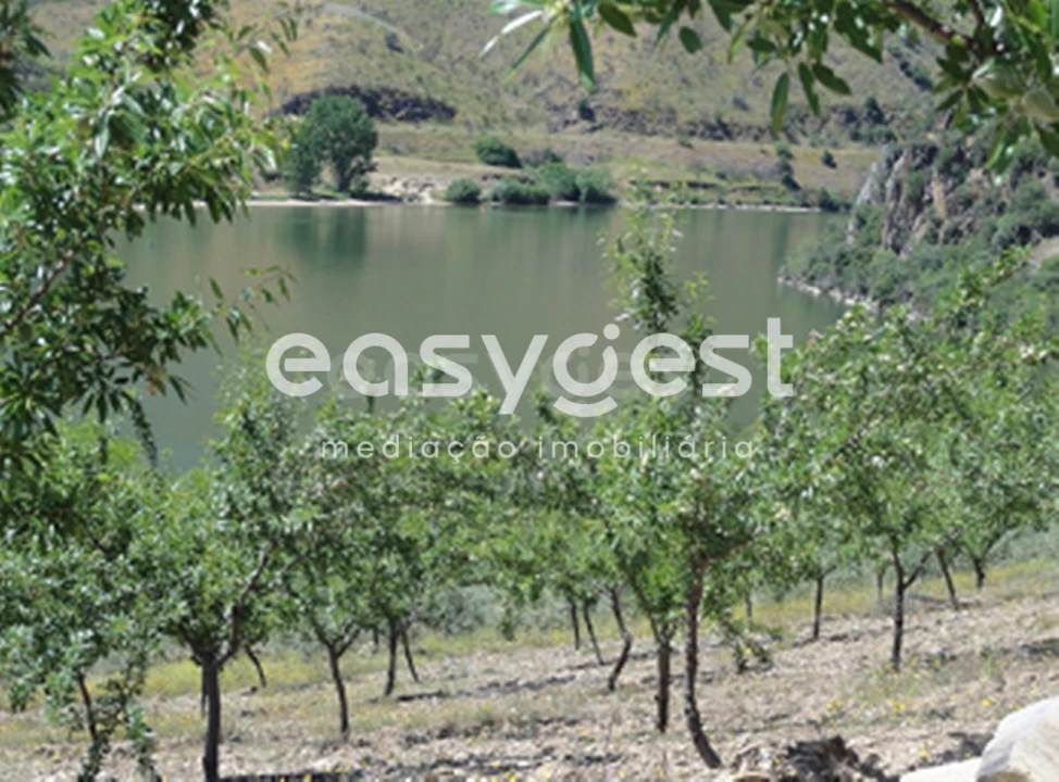 Terreno para Venda em Urros e Peredo dos Castelhanos Foto 10