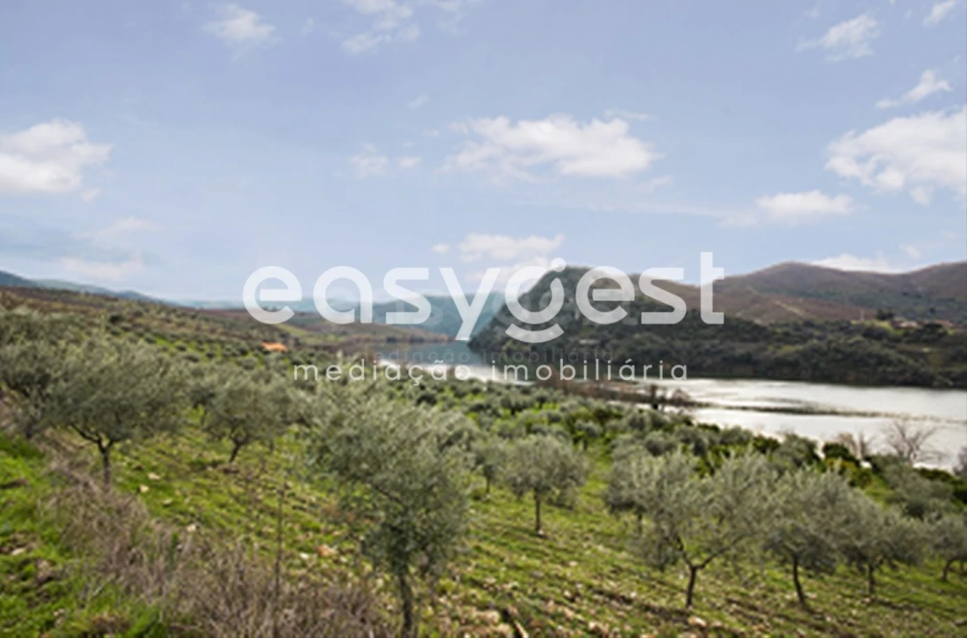 Terreno para Venda em Urros e Peredo dos Castelhanos Foto 11