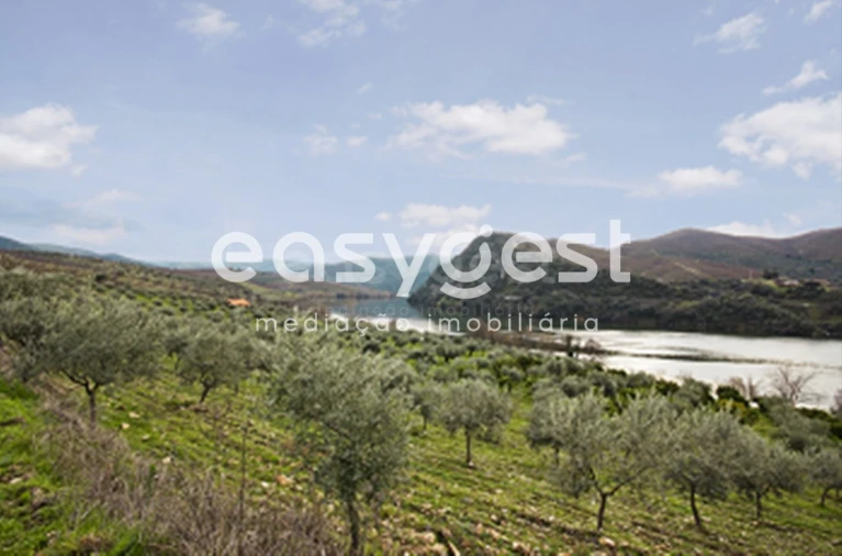 Terreno para Venda em Urros e Peredo dos Castelhanos Foto 11