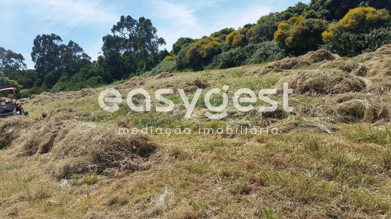 Terreno para Venda em Santa Maria e São Miguel, São Martinho, São Pedro Penaferrim Foto 1