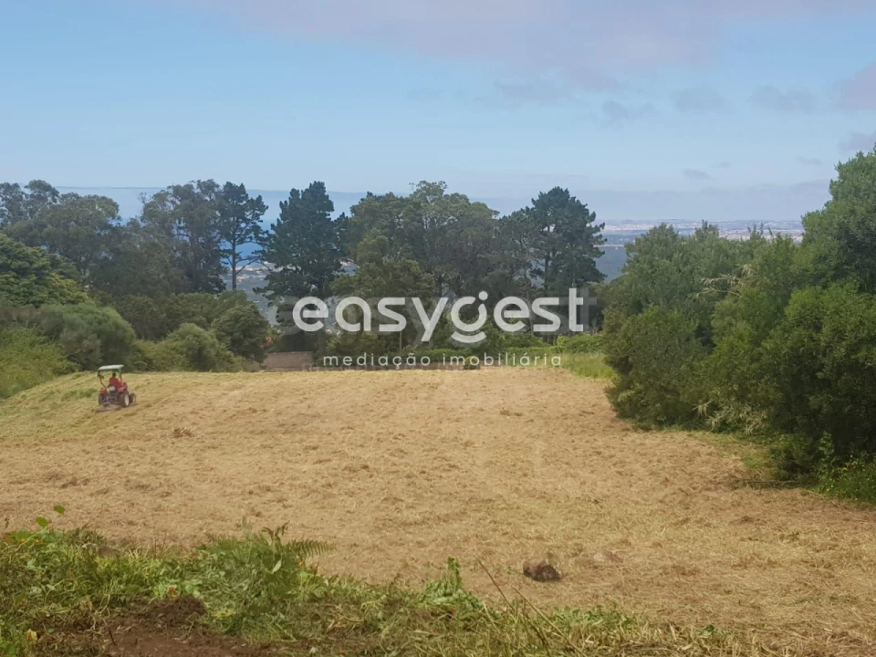 Terreno para Venda em Santa Maria e São Miguel, São Martinho, São Pedro Penaferrim Foto 3