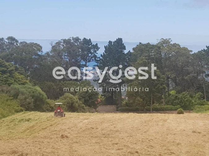 Terreno para Venda em Santa Maria e São Miguel, São Martinho, São Pedro Penaferrim Foto 4