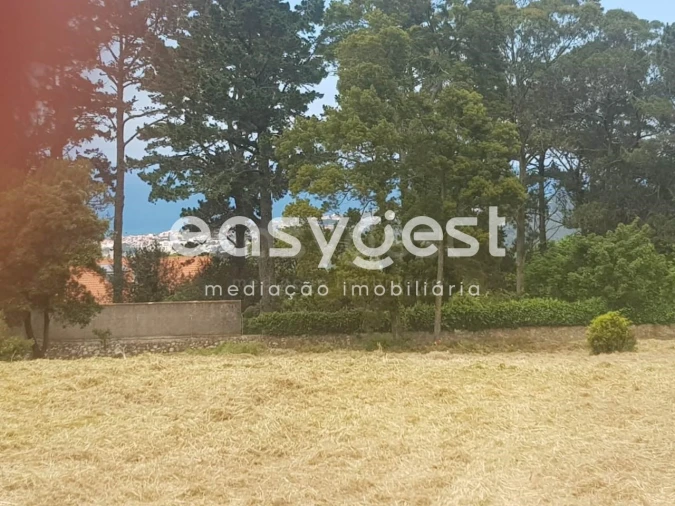 Terreno para Venda em Santa Maria e São Miguel, São Martinho, São Pedro Penaferrim Foto 5