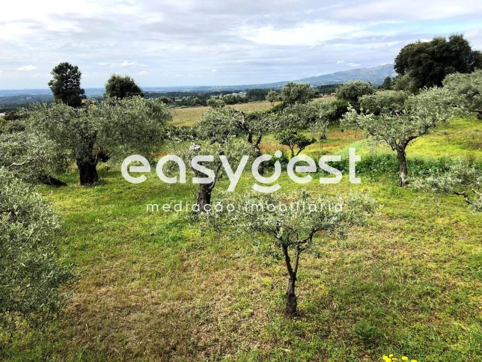 Terreno para Venda em Vale de Prazeres e Mata da Rainha Foto 2