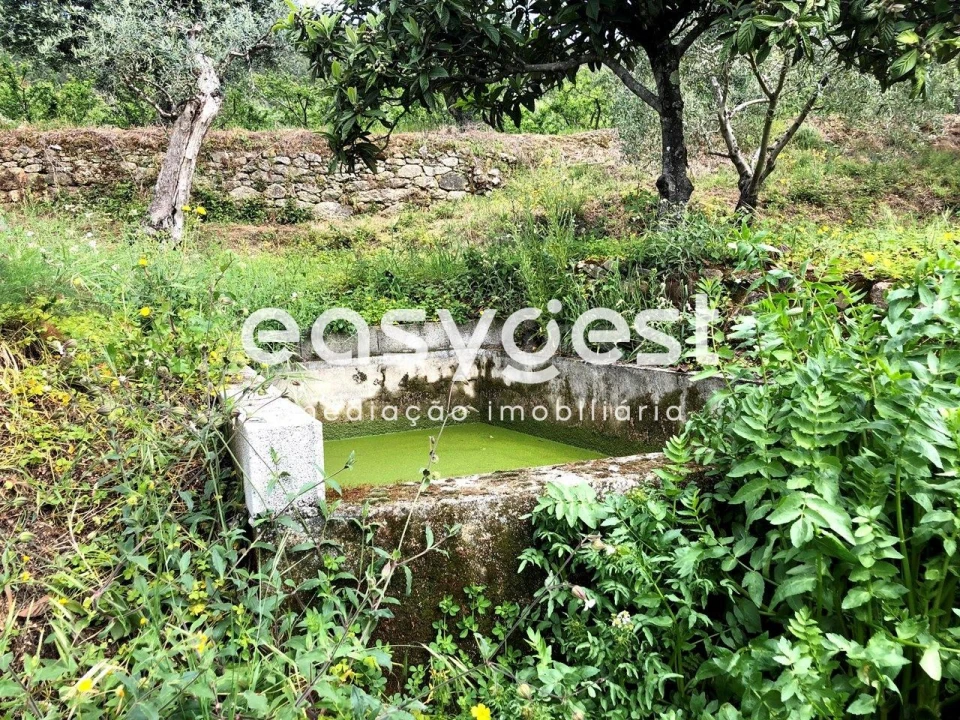 Terreno para Venda em Vale de Prazeres e Mata da Rainha Foto 5