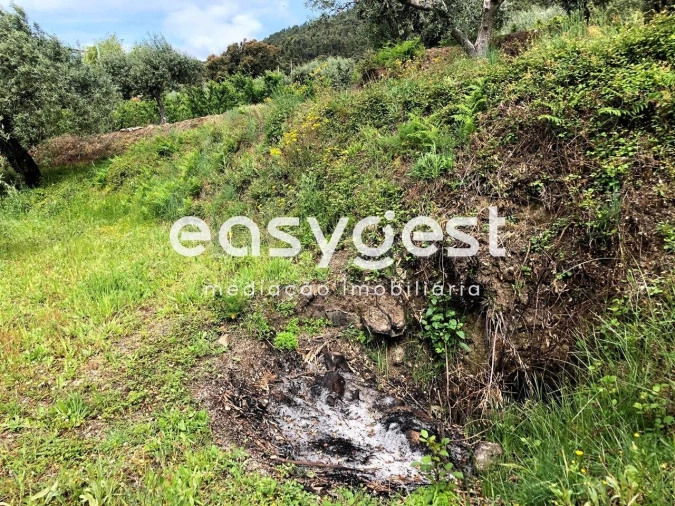 Terreno para Venda em Vale de Prazeres e Mata da Rainha Foto 8