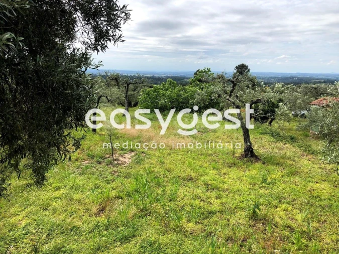 Terreno para Venda em Vale de Prazeres e Mata da Rainha Foto 9