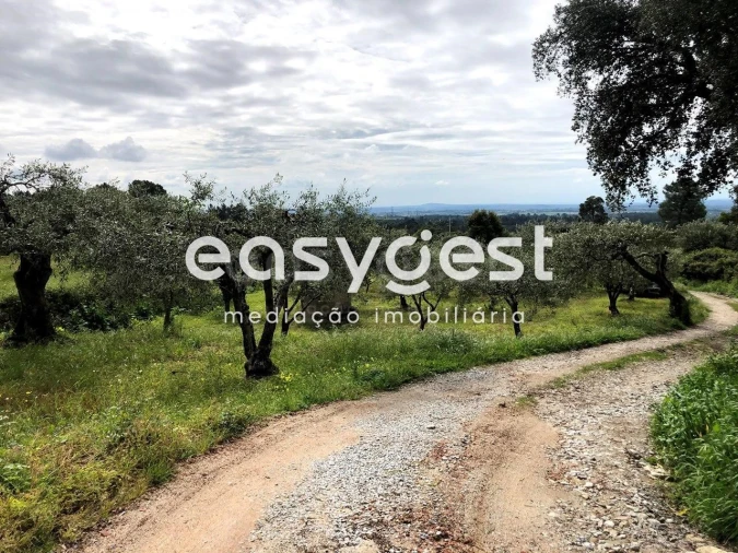 Terreno para Venda em Vale de Prazeres e Mata da Rainha Foto 27