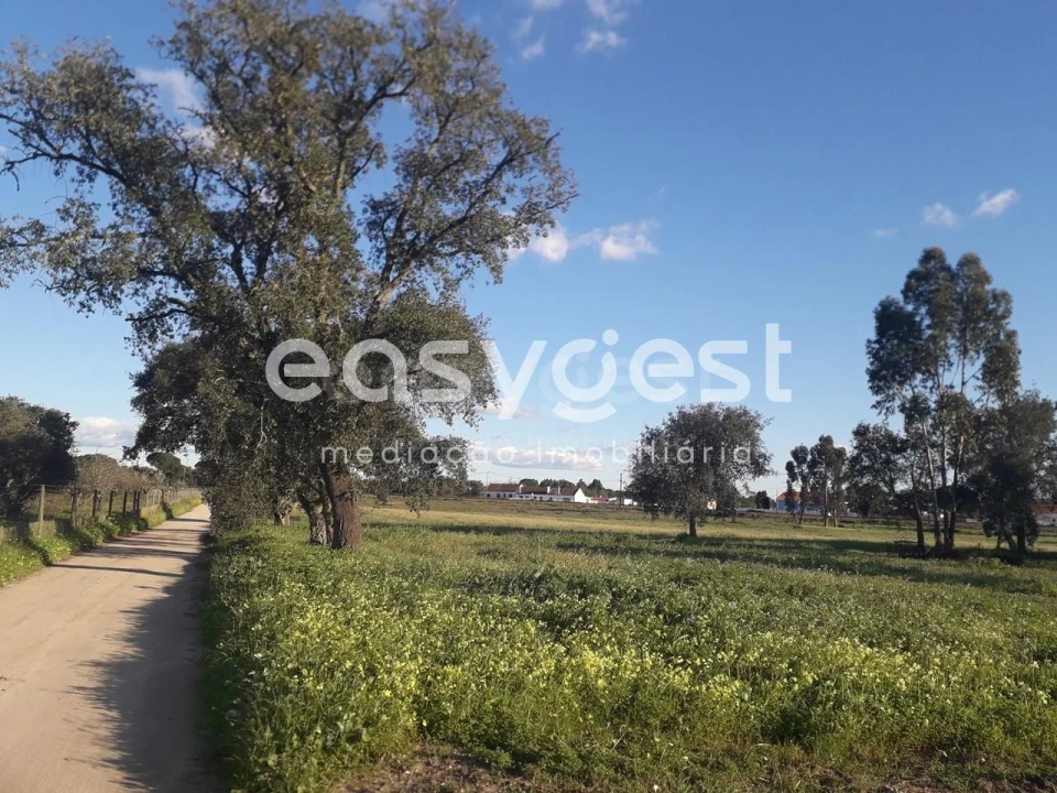 Terreno para Venda em Pegões Foto 1