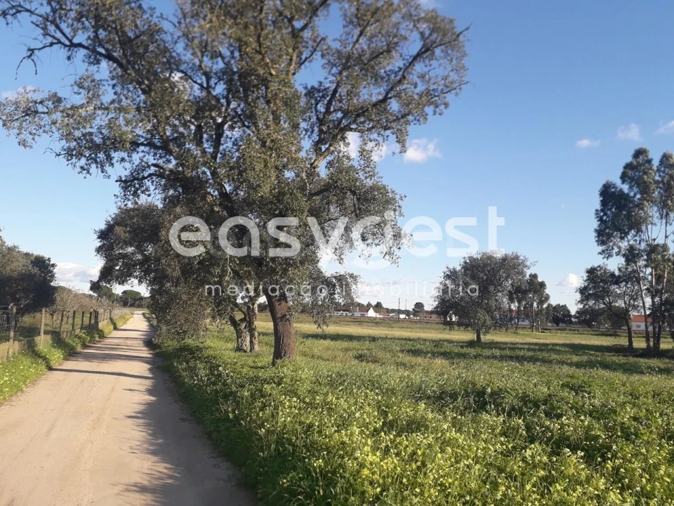 Terreno para Venda em Pegões Foto 2