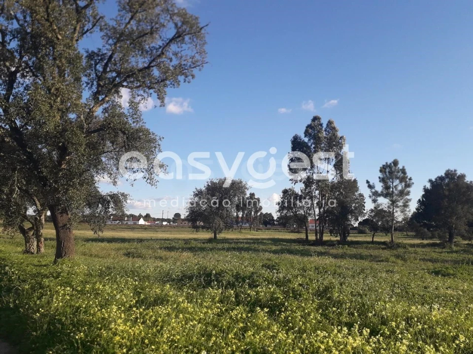 Terreno para Venda em Pegões Foto 3
