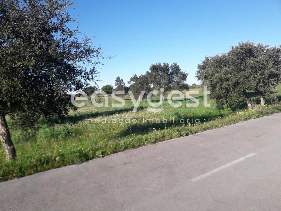 Terreno para Venda em Pegões Foto 5