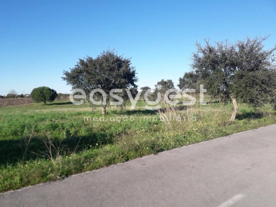 Terreno para Venda em Pegões Foto 7