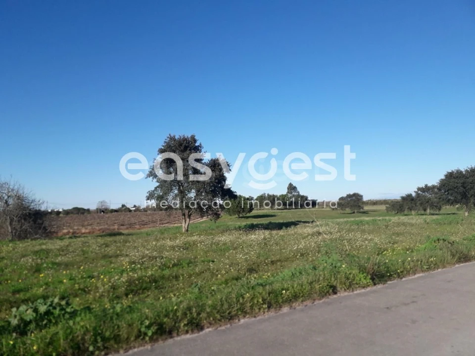 Terreno para Venda em Pegões Foto 9