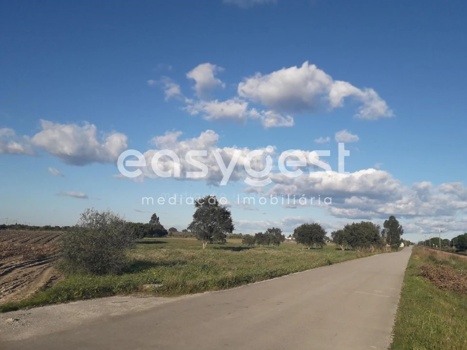 Terreno para Venda em Pegões Foto 10