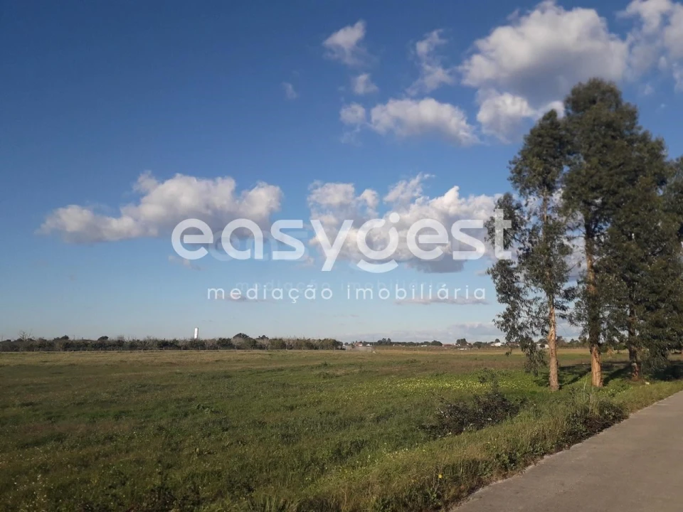 Terreno para Venda em Pegões Foto 11