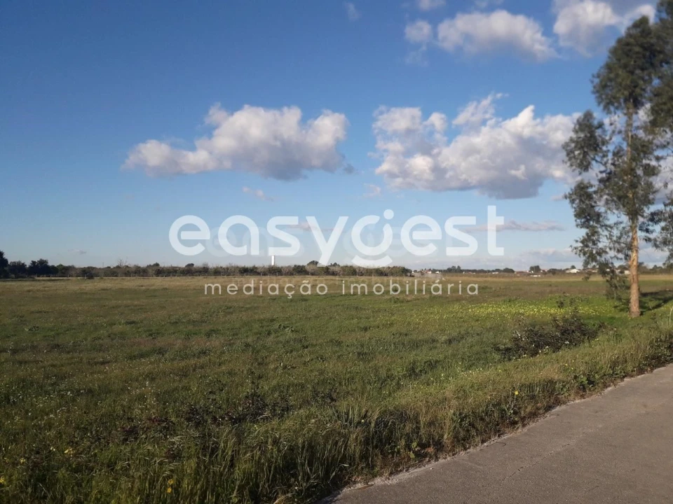 Terreno para Venda em Pegões Foto 12