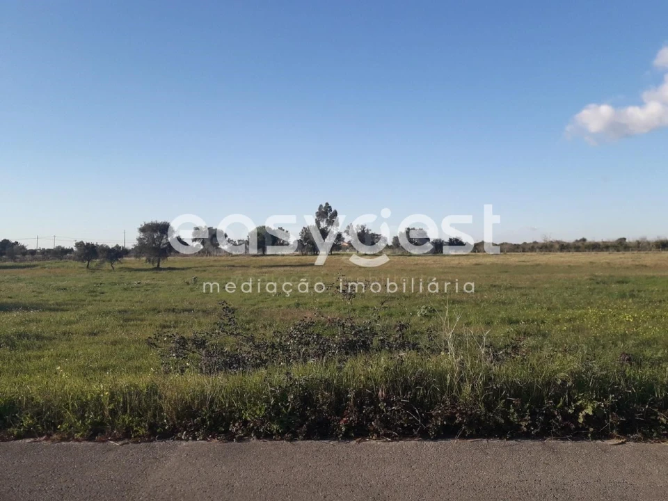 Terreno para Venda em Pegões Foto 15