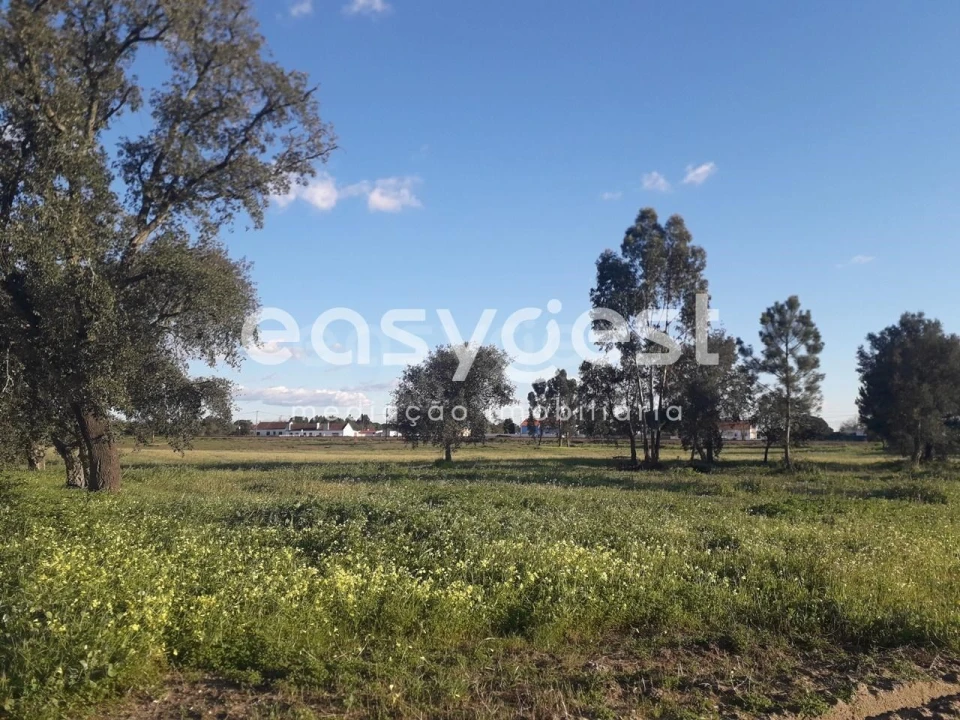 Terreno para Venda em Pegões Foto 18