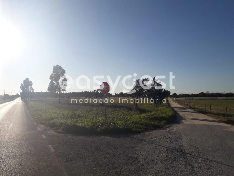 Terreno para Venda em Pegões Foto 21