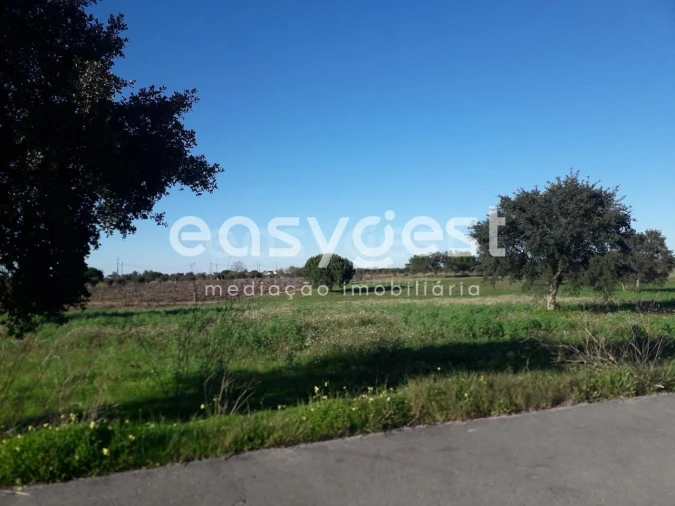 Terreno para Venda em Pegões Foto 8