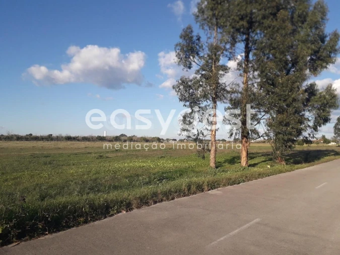 Terreno para Venda em Pegões Foto 13