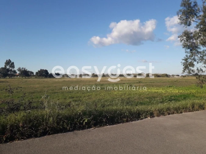 Terreno para Venda em Pegões Foto 14