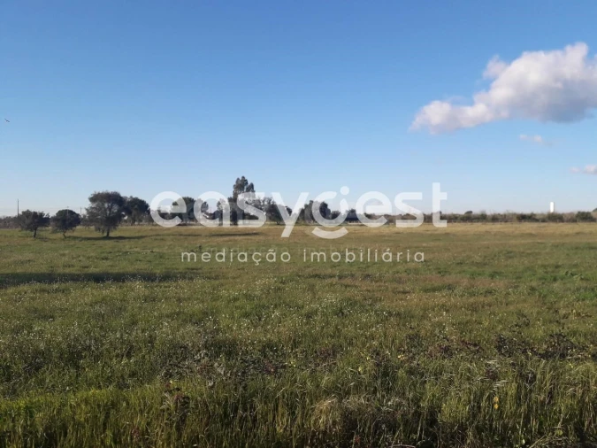 Terreno para Venda em Pegões Foto 20