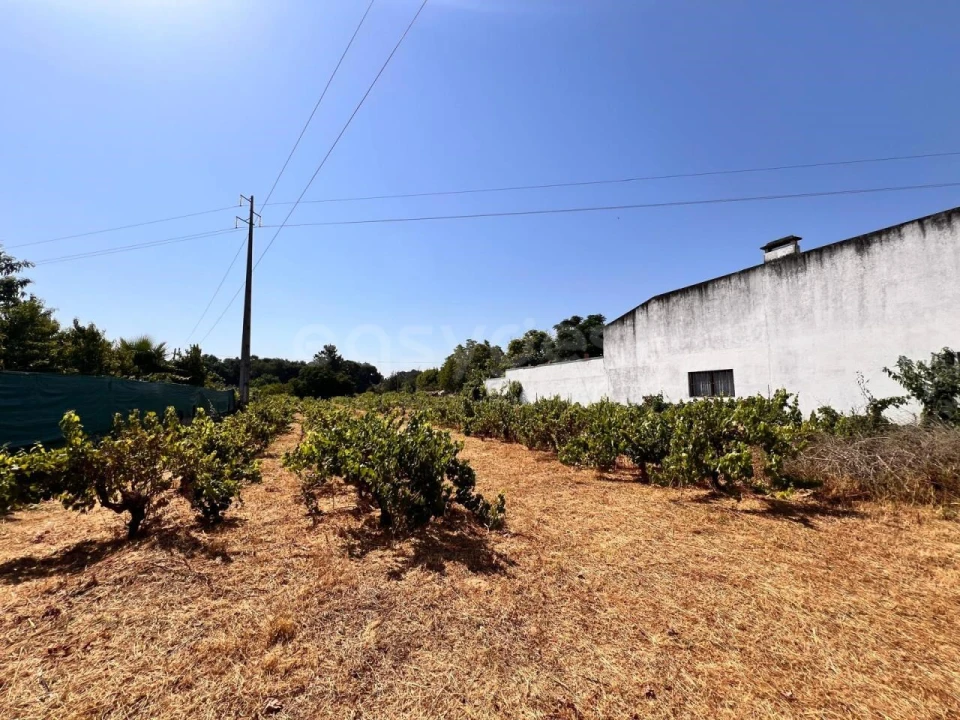 Terreno para Venda em Pego Foto 2