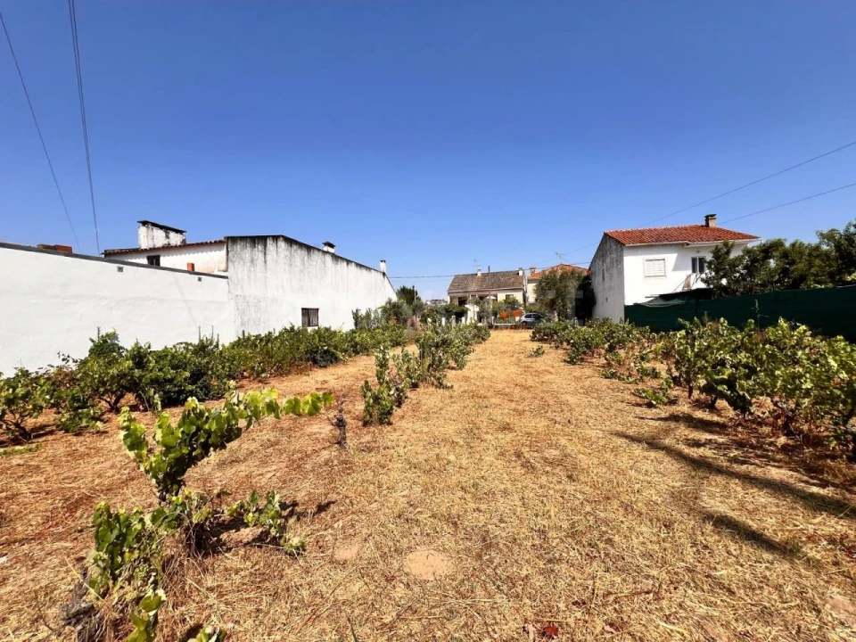 Terreno para Venda em Pego Foto 3