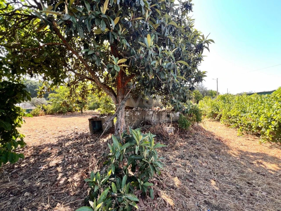 Terreno para Venda em Pego Foto 15