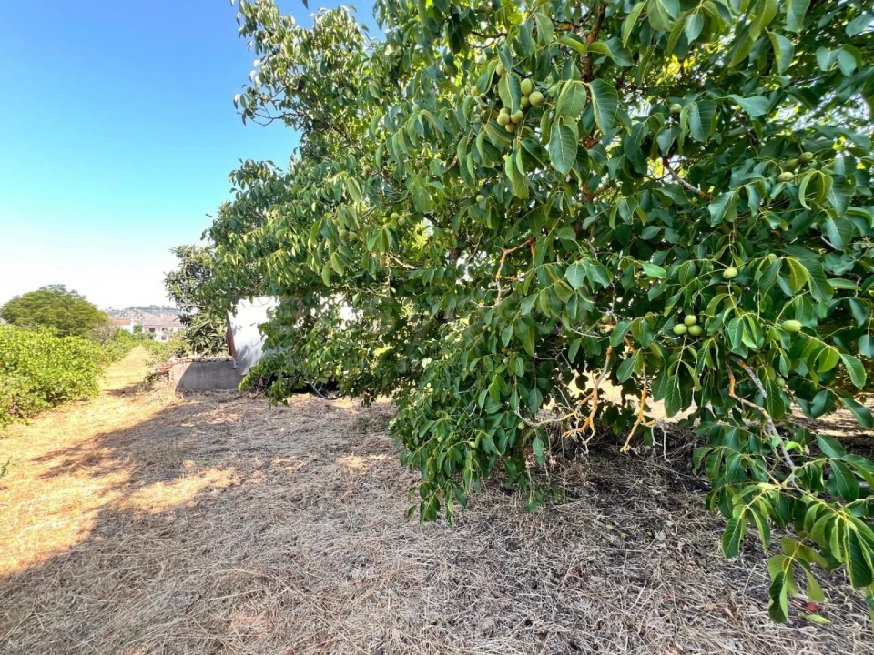 Terreno para Venda em Pego Foto 16