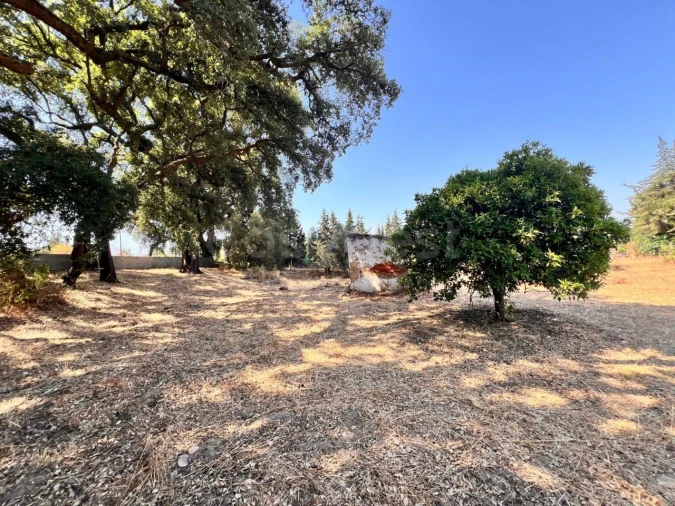 Terreno para Venda em Pego Foto 11