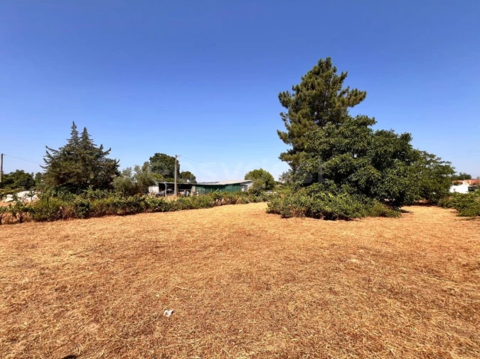 Terreno para Venda em Pego Foto 13
