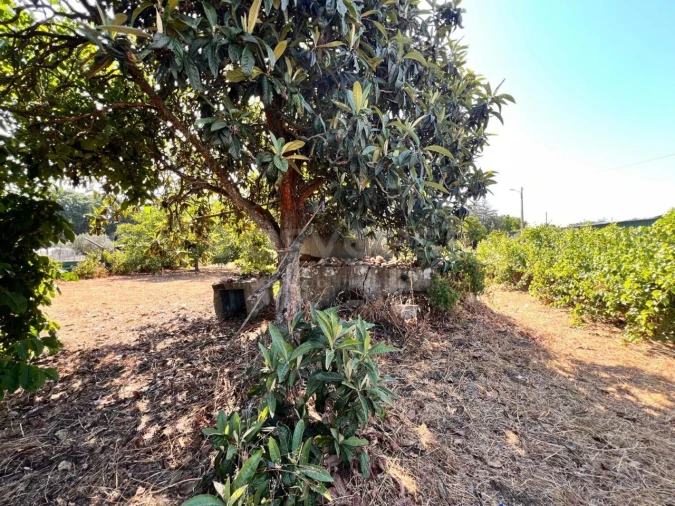 Terreno para Venda em Pego Foto 15