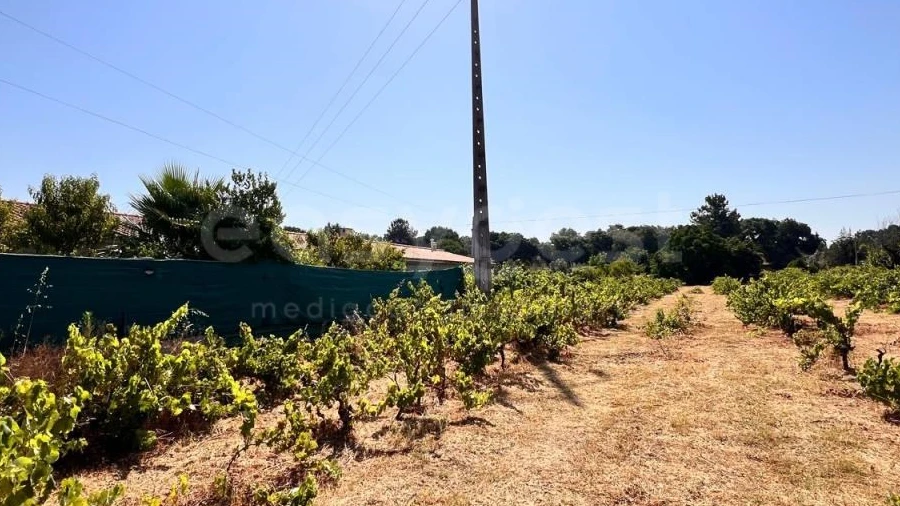 Terreno para Venda em Pego