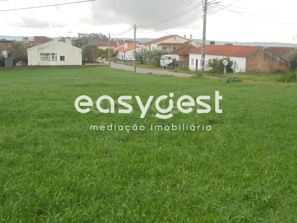 Terreno para Venda em São João Baptista e Santa Maria dos Olivais Foto 5