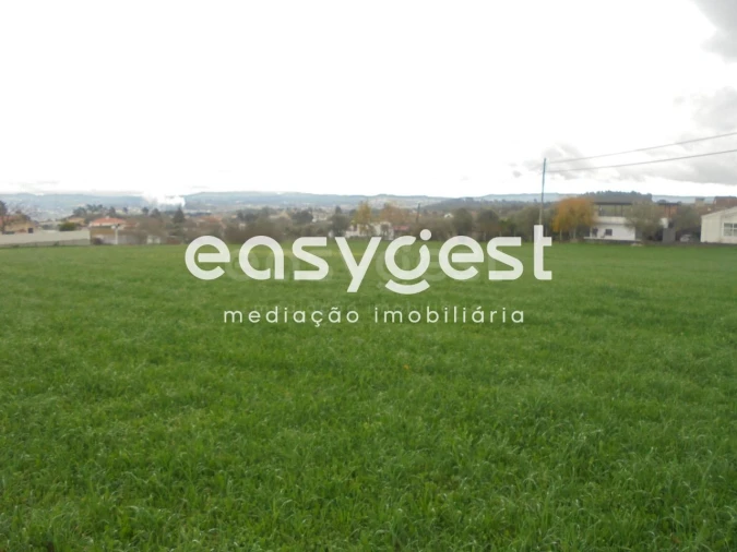 Terreno para Venda em São João Baptista e Santa Maria dos Olivais Foto 1