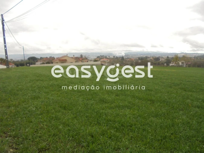 Terreno para Venda em São João Baptista e Santa Maria dos Olivais Foto 3